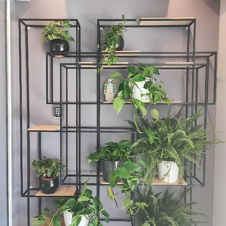 Отель Boutique Lili Ровинь
