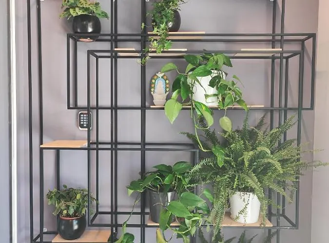 מלון Boutique Lili רוביני